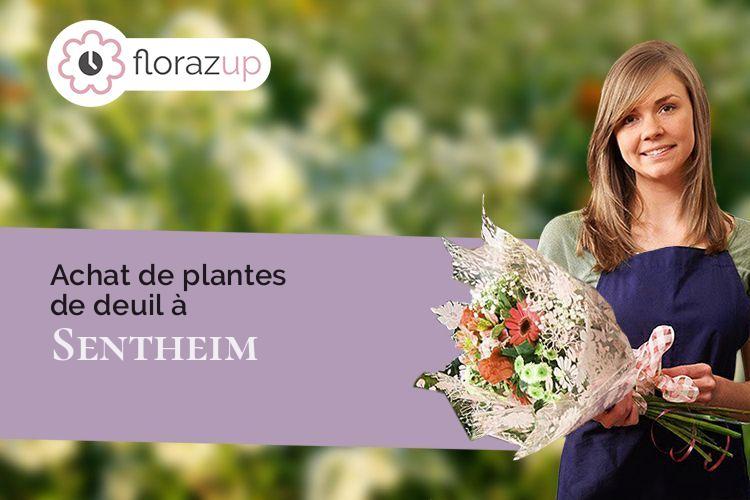 couronnes de fleurs pour une crémation à Sentheim (Haut-Rhin/68780)