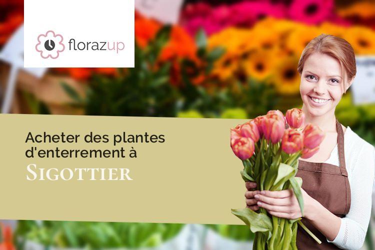 plantes pour des funérailles à Sigottier (Hautes-Alpes/05700)
