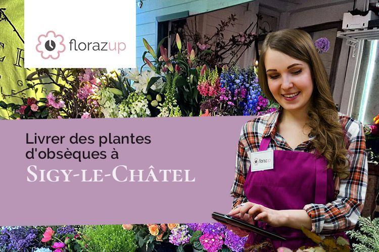 créations florales pour un deuil à Sigy-le-Châtel (Saône-et-Loire/71250)