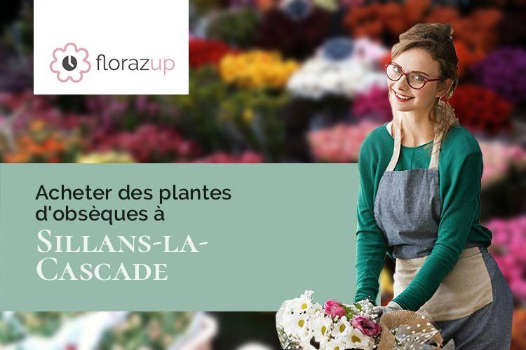 créations de fleurs pour des funérailles à Sillans-la-Cascade (Var/83690)