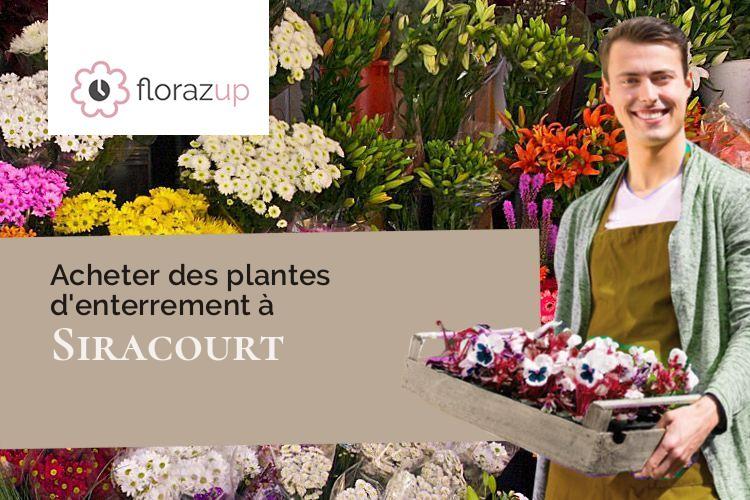 plantes pour des funérailles à Siracourt (Pas-de-Calais/62130)