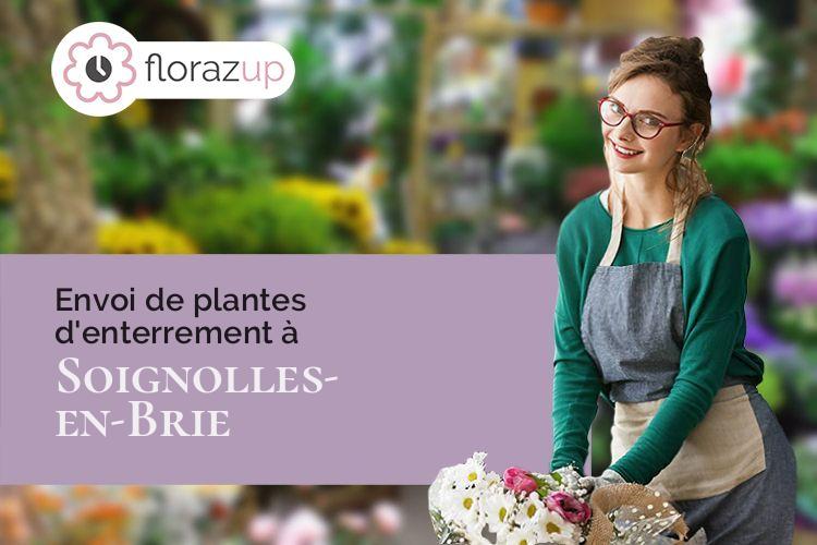 plantes pour des obsèques à Soignolles-en-Brie (Seine-et-Marne/77111)