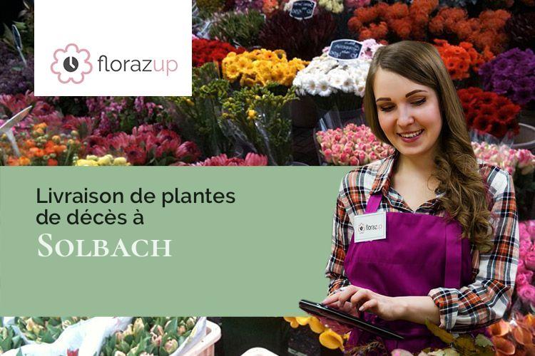 compositions de fleurs pour une crémation à Solbach (Bas-Rhin/67130)