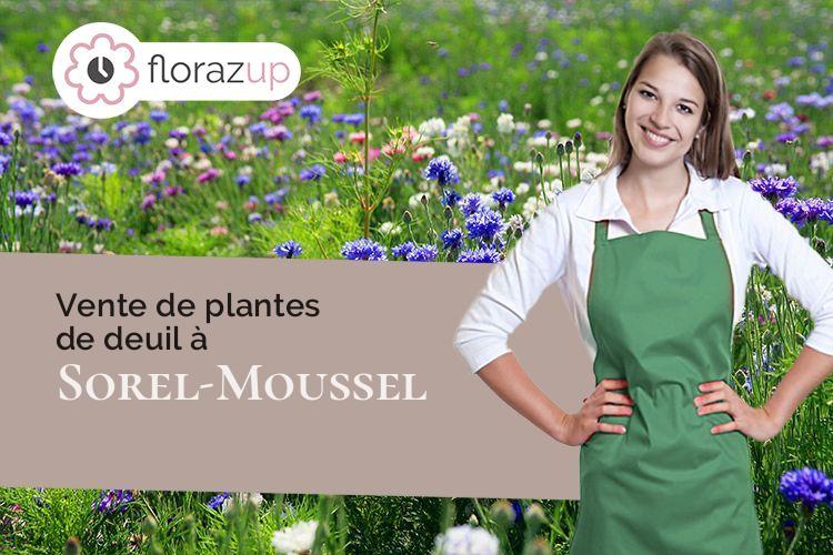 créations de fleurs pour des obsèques à Sorel-Moussel (Eure-et-Loir/28520)