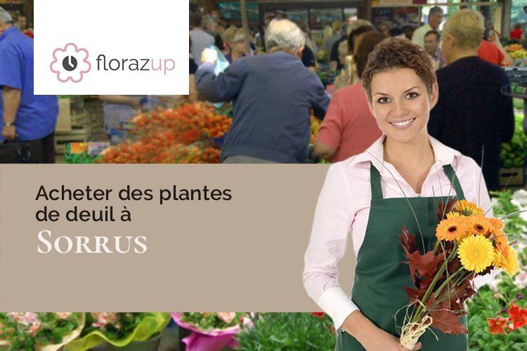 couronnes de fleurs pour un décès à Sorrus (Pas-de-Calais/62170)