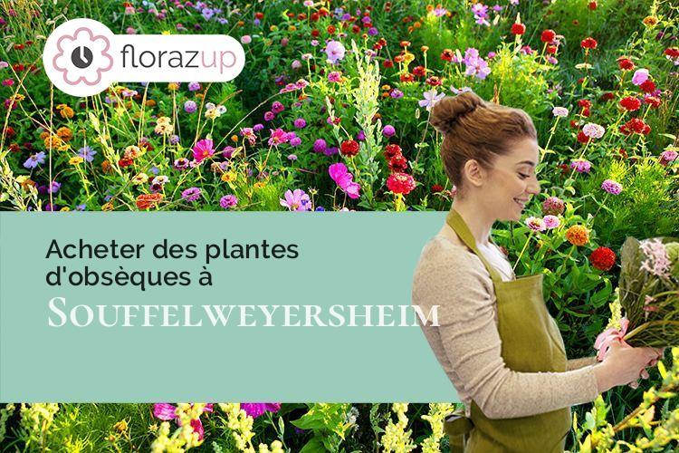 bouquets de fleurs pour un deuil à Souffelweyersheim (Bas-Rhin/67460)