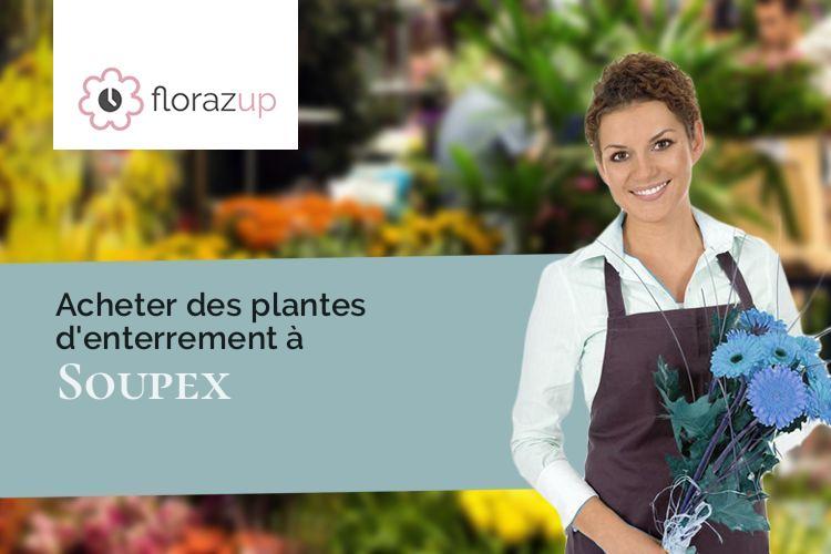 compositions de fleurs pour des funérailles à Soupex (Aude/11320)