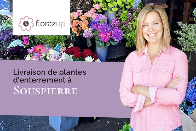 compositions de fleurs pour une crémation à Souspierre (Drôme/26160)