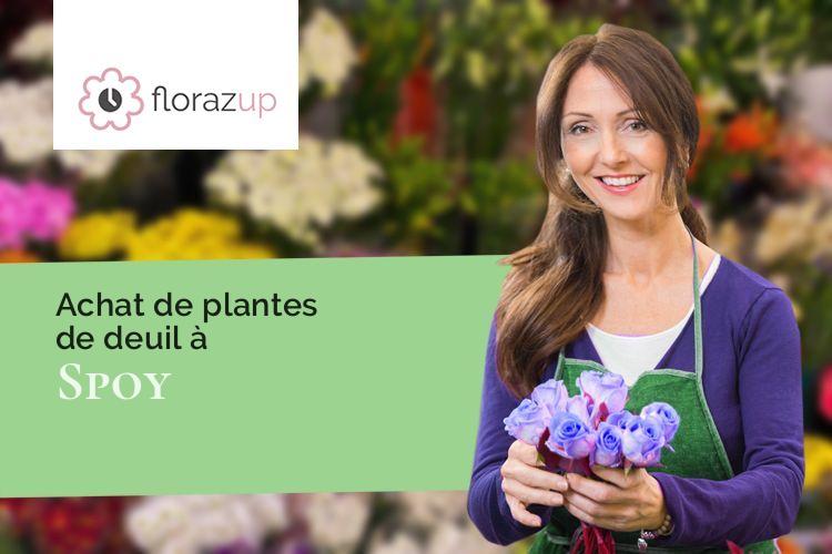 plantes pour un décès à Spoy (Côte-d'Or/21120)