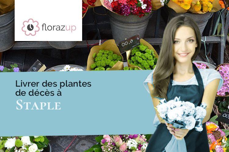 plantes pour un enterrement à Staple (Nord/59190)