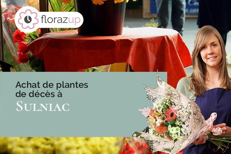 bouquets de fleurs pour un décès à Sulniac (Morbihan/56250)