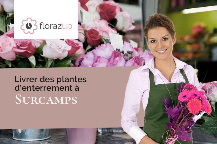 compositions de fleurs pour un décès à Surcamps (Somme/80620)