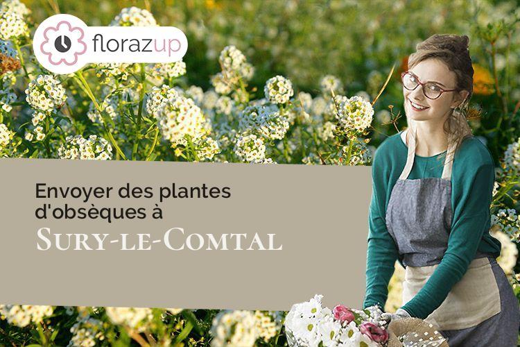 plantes pour des funérailles à Sury-le-Comtal (Loire/42450)