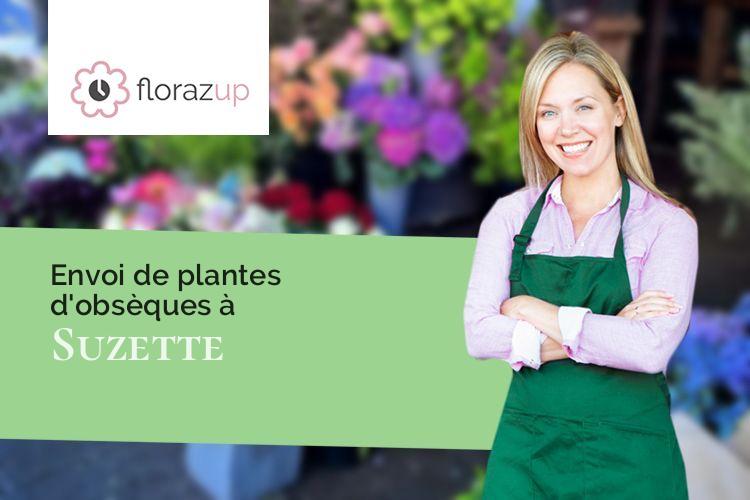 bouquets de fleurs pour un deuil à Suzette (Vaucluse/84190)