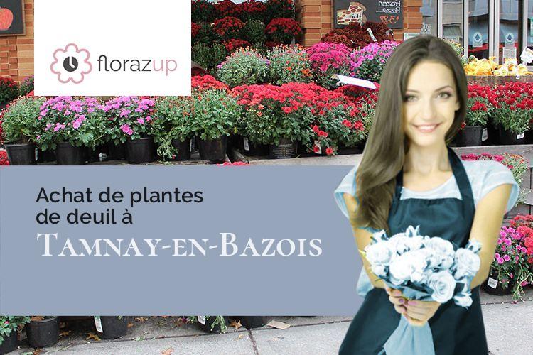 compositions de fleurs pour un enterrement à Tamnay-en-Bazois (Nièvre/58110)