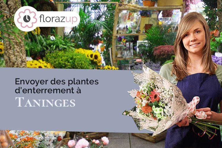 plantes pour un deuil à Taninges (Haute-Savoie/74440)