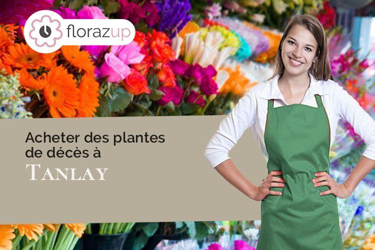 couronnes de fleurs pour un décès à Tanlay (Yonne/89430)