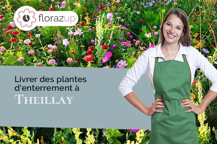 plantes pour un décès à Theillay (Loir-et-Cher/41300)