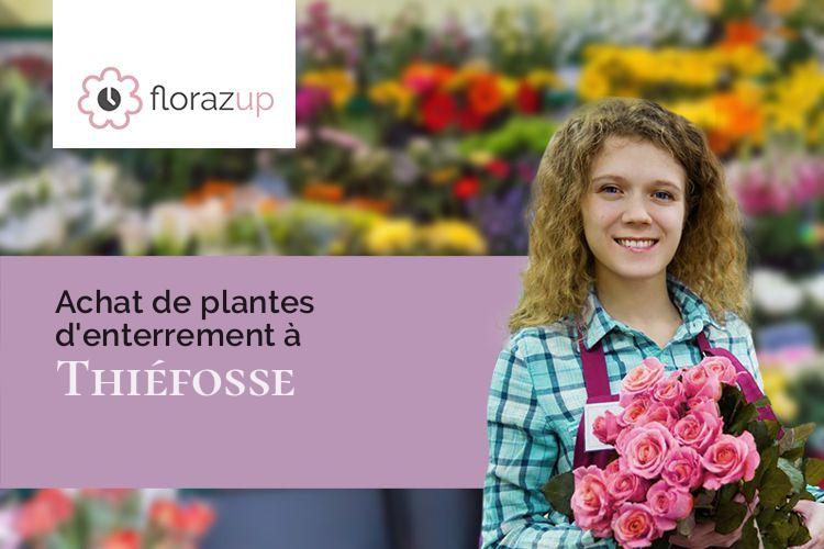 plantes pour un deuil à Thiéfosse (Vosges/88290)