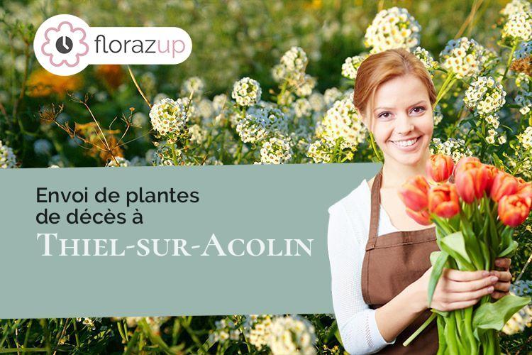 bouquets de fleurs pour un enterrement à Thiel-sur-Acolin (Allier/03230)