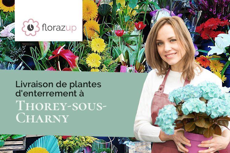 plantes pour des obsèques à Thorey-sous-Charny (Côte-d'Or/21350)