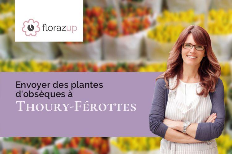 couronnes florales pour un décès à Thoury-Férottes (Seine-et-Marne/77156)
