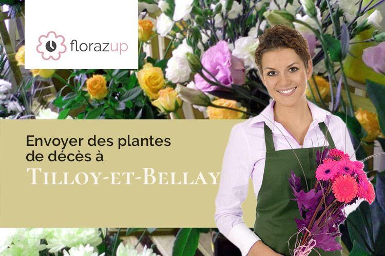 plantes pour un deuil à Tilloy-et-Bellay (Marne/51460)
