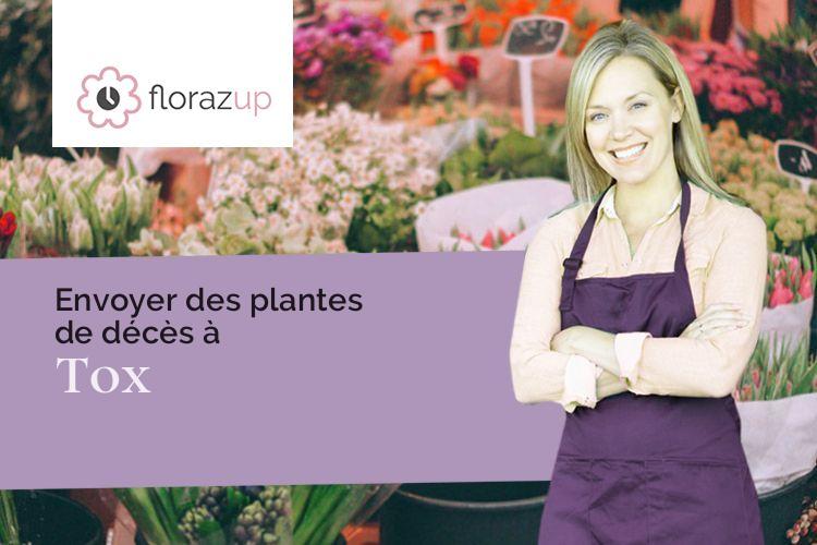 couronnes florales pour un décès à Tox (Corse/20270)