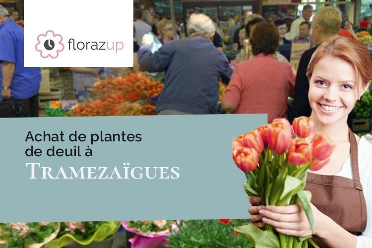 couronnes florales pour un décès à Tramezaïgues (Hautes-Pyrénées/65170)