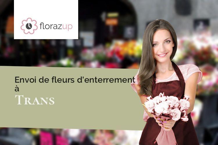 coupes de fleurs pour des obsèques à Trans (Mayenne/53160)