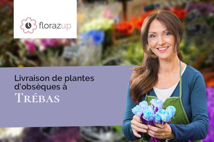 créations de fleurs pour des obsèques à Trébas (Tarn/81340)