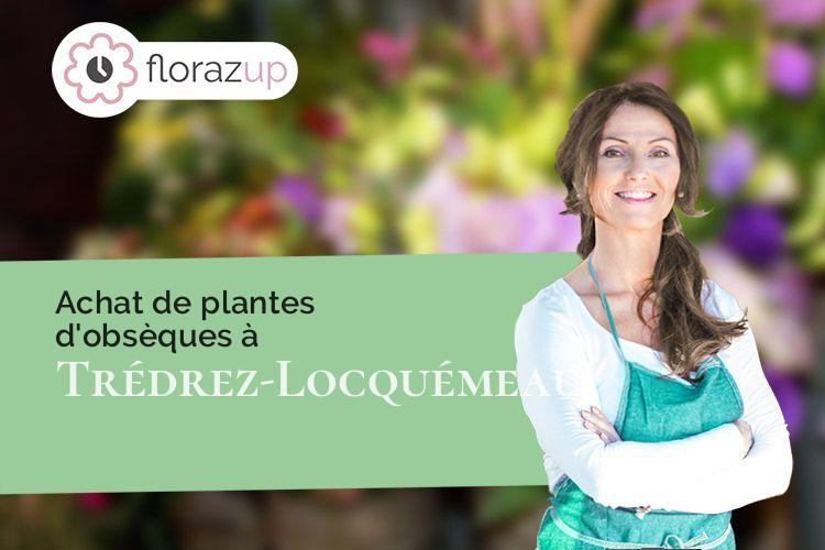 couronnes florales pour une crémation à Trédrez-Locquémeau (Côtes-d'Armor/22300)