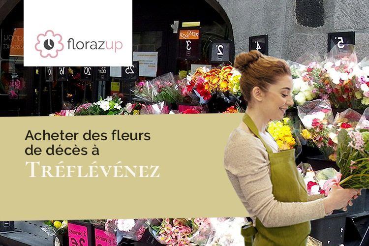gerbes de fleurs pour un décès à Tréflévénez (Finistère/29800)