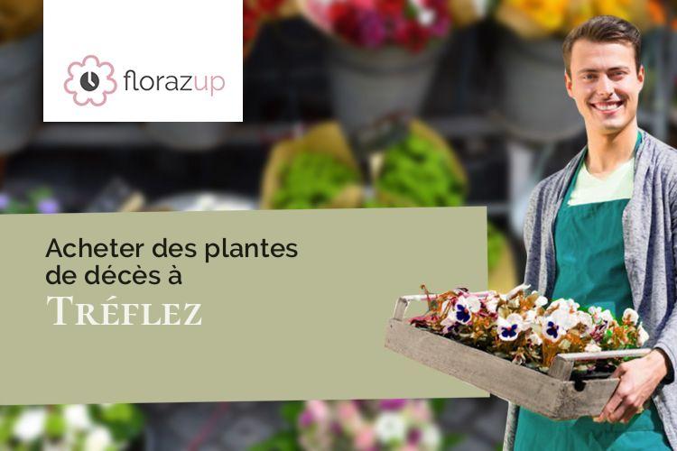 créations de fleurs pour un enterrement à Tréflez (Finistère/29430)