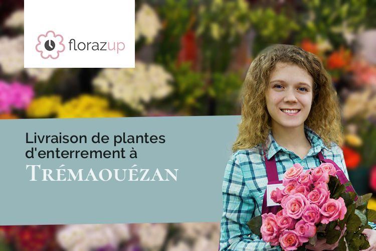 couronnes florales pour un décès à Trémaouézan (Finistère/29800)