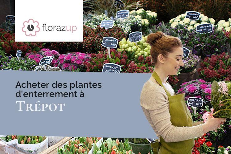 gerbes de fleurs pour un enterrement à Trépot (Doubs/25620)