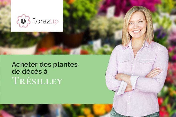 fleurs deuil pour un décès à Trésilley (Haute-Saône/70190)