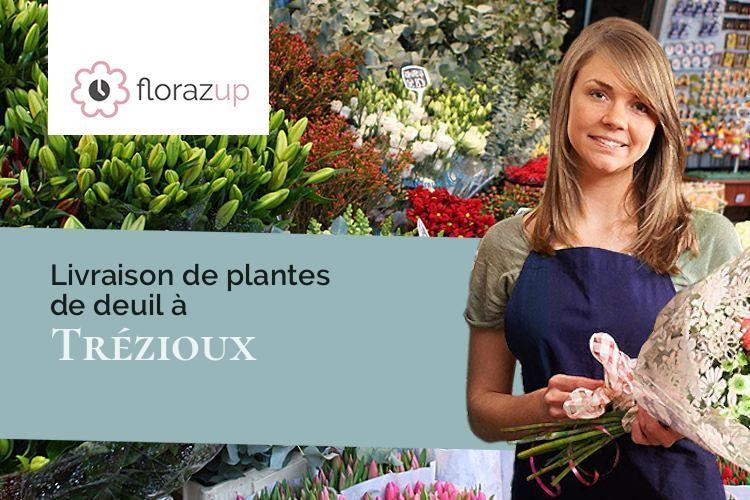 bouquets de fleurs pour un décès à Trézioux (Puy-de-Dôme/63520)