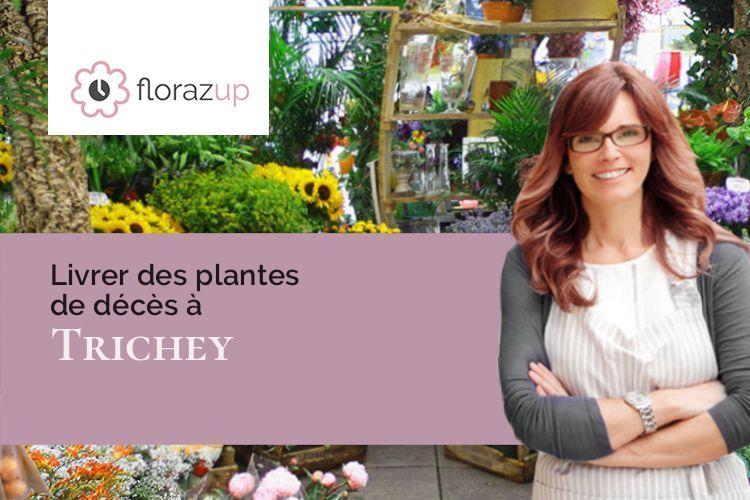 créations de fleurs pour un enterrement à Trichey (Yonne/89430)
