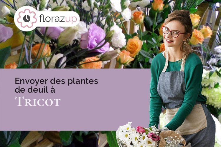 gerbes de fleurs pour des funérailles à Tricot (Oise/60420)