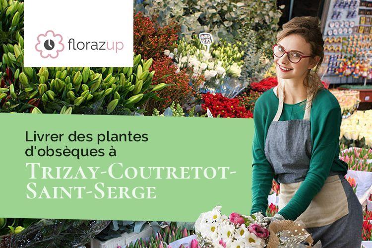 coeurs de fleurs pour un enterrement à Trizay-Coutretot-Saint-Serge (Eure-et-Loir/28400)