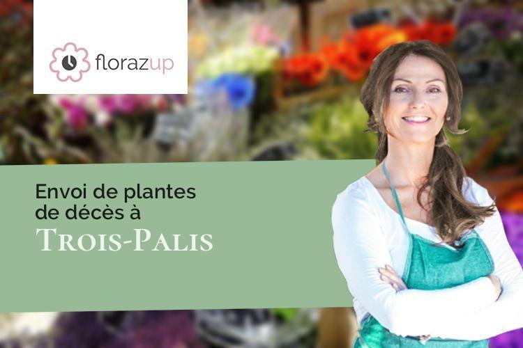 couronnes de fleurs pour un décès à Trois-Palis (Charente/16730)