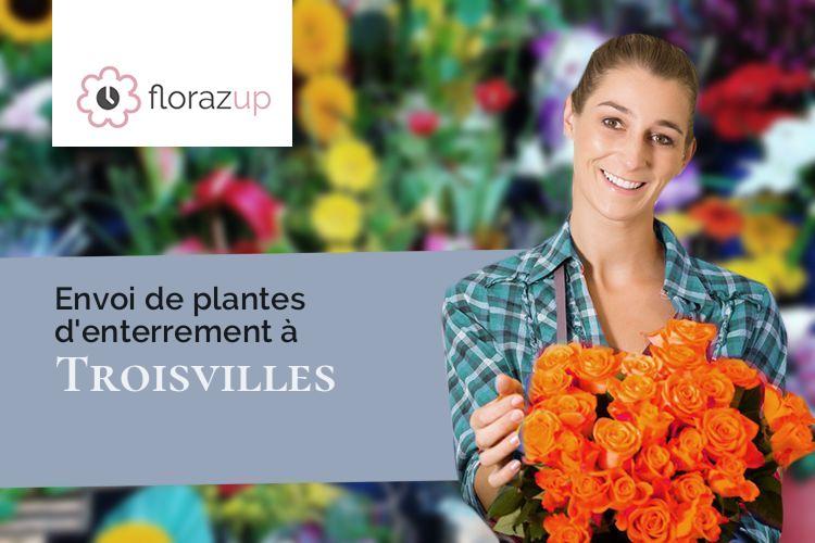 croix de fleurs pour un décès à Troisvilles (Nord/59980)