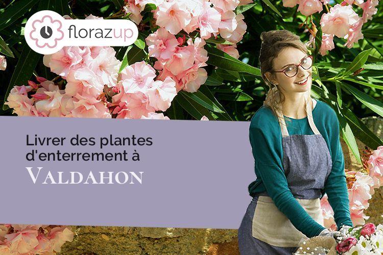 plantes pour des obsèques à Valdahon (Doubs/25800)