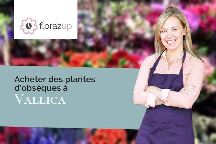 gerbes de fleurs pour une crémation à Vallica (Corse/20259)
