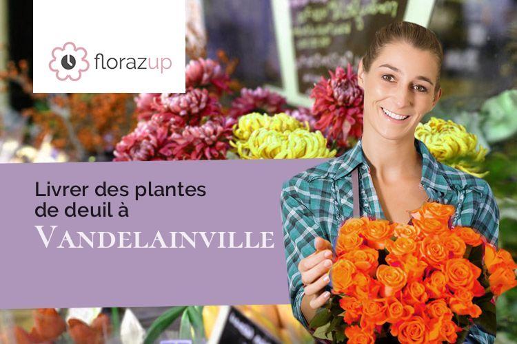 compositions florales pour un décès à Vandelainville (Meurthe-et-Moselle/54890)