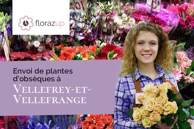 gerbes de fleurs pour des obsèques à Vellefrey-et-Vellefrange (Haute-Saône/70700)