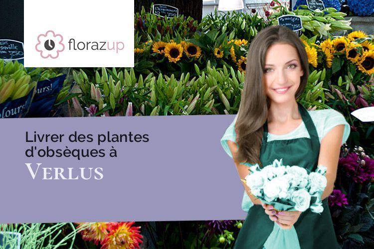plantes pour un deuil à Verlus (Gers/32400)