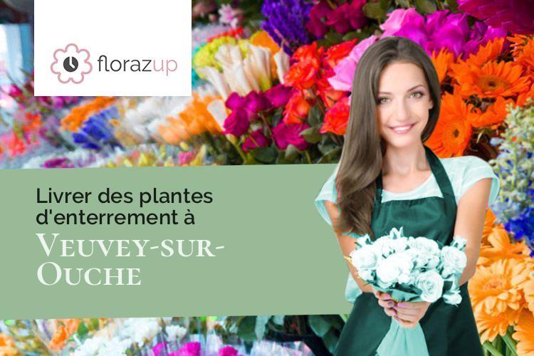 fleurs deuil pour des obsèques à Veuvey-sur-Ouche (Côte-d'Or/21360)