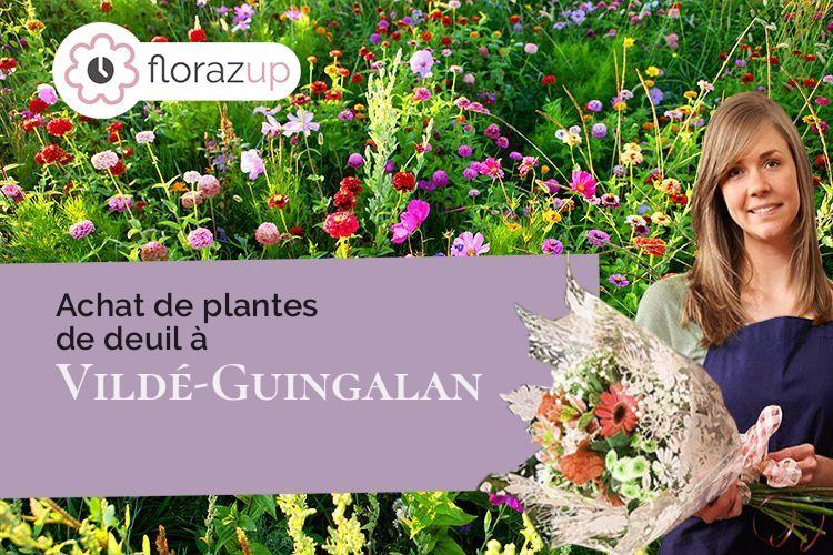 fleurs deuil pour une crémation à Vildé-Guingalan (Côtes-d'Armor/22980)